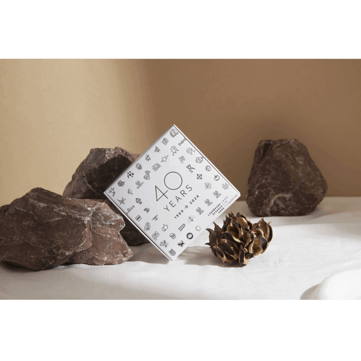 decorative stones and pine cones with a book in the middle