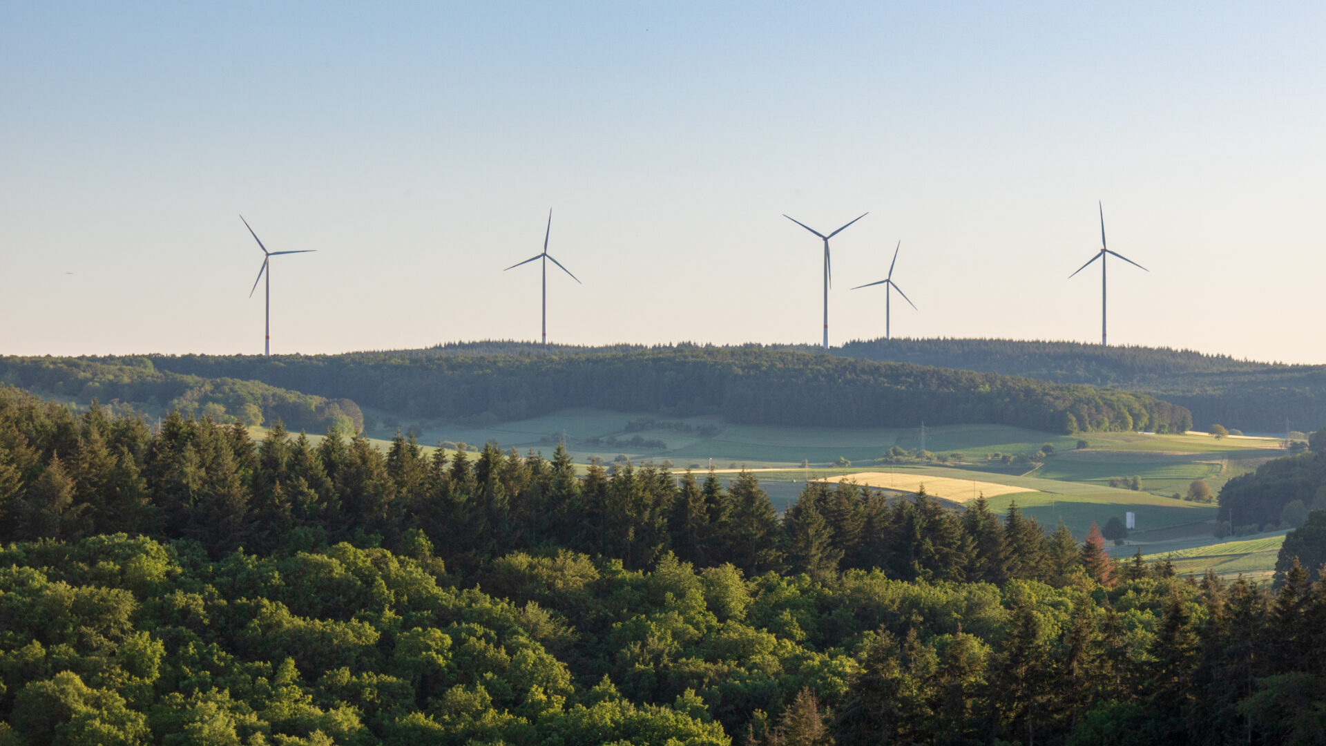 Wind turbines at the horizon in green rural landscape